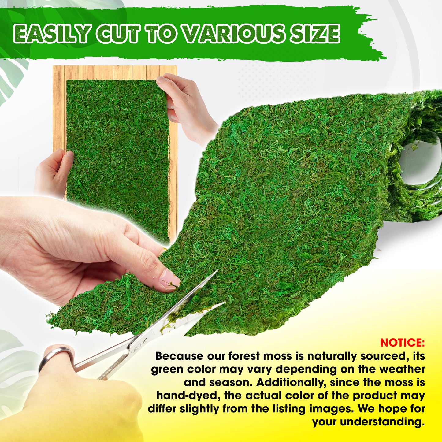 DUSPRO Moss Roll, Moss Table Runner, Moss Carpet for Moss Wall, Sheet Moss for Fairy Moss Garden, Mossy Mat Peel and Stick Moss Sheet