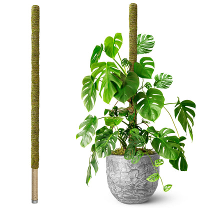 DUSPRO 80 Inches Large Moss Pole for Plants Monstera, Plant Stakes for Indoor Plants, Monstera Plant Support (1pc., 80'')