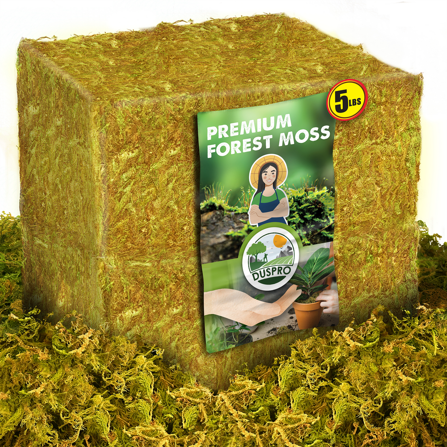 DUSPRO Dried Moss for Potted Plants, Forest Orchid Moss for Potting Mix, Sphagnum Potting Moss for Plants Indoor, Real Moss Soil Cover for Houseplant