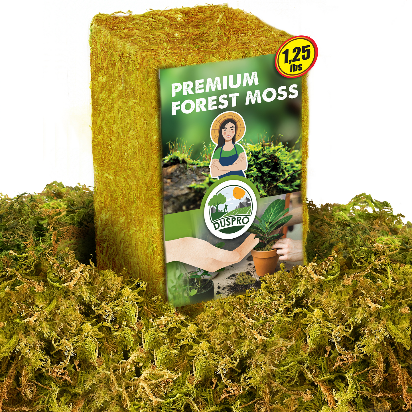 DUSPRO Dried Moss for Potted Plants, Forest Orchid Moss for Potting Mix, Sphagnum Potting Moss for Plants Indoor, Real Moss Soil Cover for Houseplant