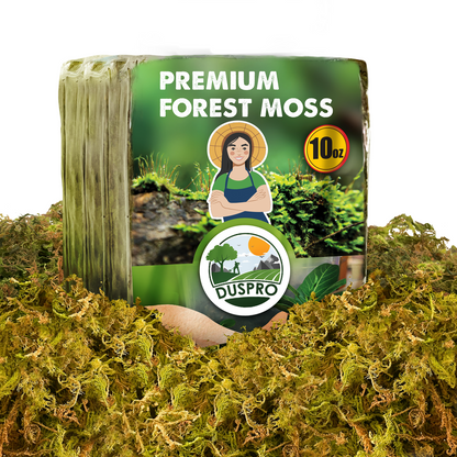 DUSPRO Dried Moss for Potted Plants, Forest Orchid Moss for Potting Mix, Sphagnum Potting Moss for Plants Indoor, Real Moss Soil Cover for Houseplant