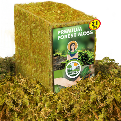 DUSPRO Dried Moss for Potted Plants, Forest Orchid Moss for Potting Mix, Sphagnum Potting Moss for Plants Indoor, Real Moss Soil Cover for Houseplant