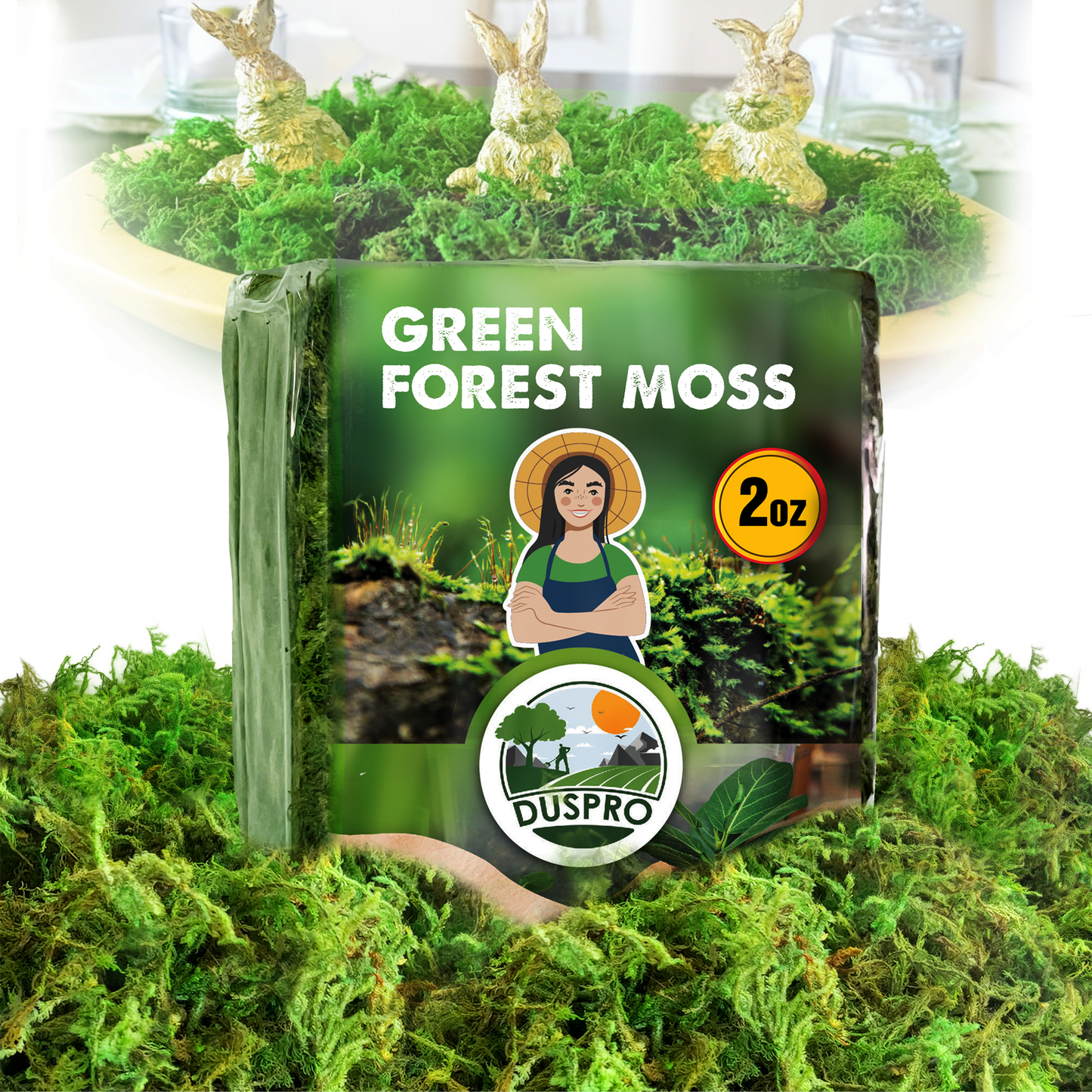 DUSPRO Green Forest Moss for Crafts, Real Dried Decorative Moss for Indoor Planter Soil Cover, Table Centerpieces, Wedding, Easter & Christmas Decor, DIY Projects