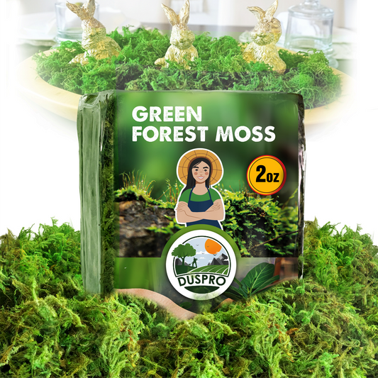 DUSPRO Green Forest Moss for Crafts, Real Dried Decorative Moss for Indoor Planter Soil Cover, Table Centerpieces, Wedding, Easter & Christmas Decor, DIY Projects
