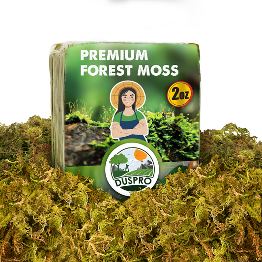 DUSPRO Dried Moss for Potted Plants, Forest Orchid Moss for Potting Mix, Sphagnum Potting Moss for Plants Indoor, Real Moss Soil Cover for Houseplant