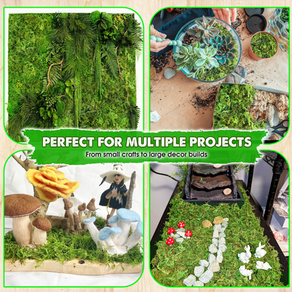 DUSPRO Green Forest Moss for Crafts, Real Dried Decorative Moss for Indoor Planter Soil Cover, Table Centerpieces, Wedding, Easter & Christmas Decor, DIY Projects