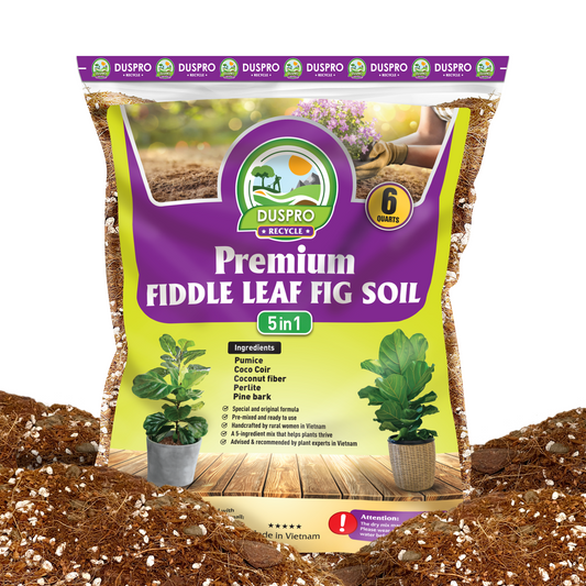 DUSPRO Recycle Fiddle Leaf Fig Soil Specialized for Fiddle Leaf Fig Plant Indoor 5-in-1 Pre-Mixed with Coco Coir, Coconut Fiber, Perlite, Pumice, Pine Bark Ready-to-Use Handmade Mix Drainage