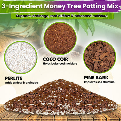 DUSPRO Recycle Money Tree Soil, Premium Coco Coir Perlite Mix and Pine Bark for Money Tree Soil