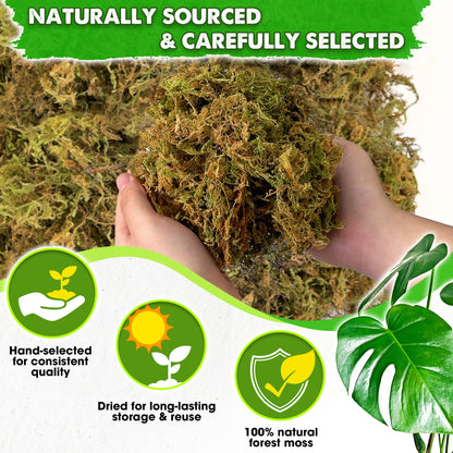 DUSPRO Dried Moss for Potted Plants, Forest Orchid Moss for Potting Mix, Sphagnum Potting Moss for Plants Indoor, Real Moss Soil Cover for Houseplant