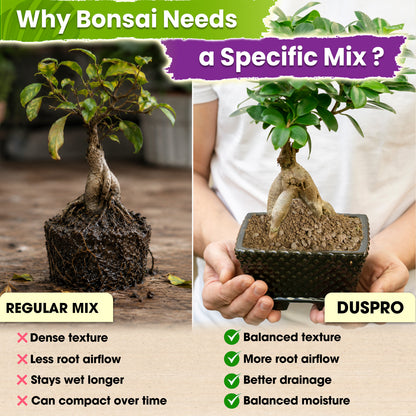 DUSPRO Recycle Premium Bonsai Soil Mix Ready to Use Pre-Mixed 5in1 with Akadama, Pumice, Vermiculite, and Peat Moss