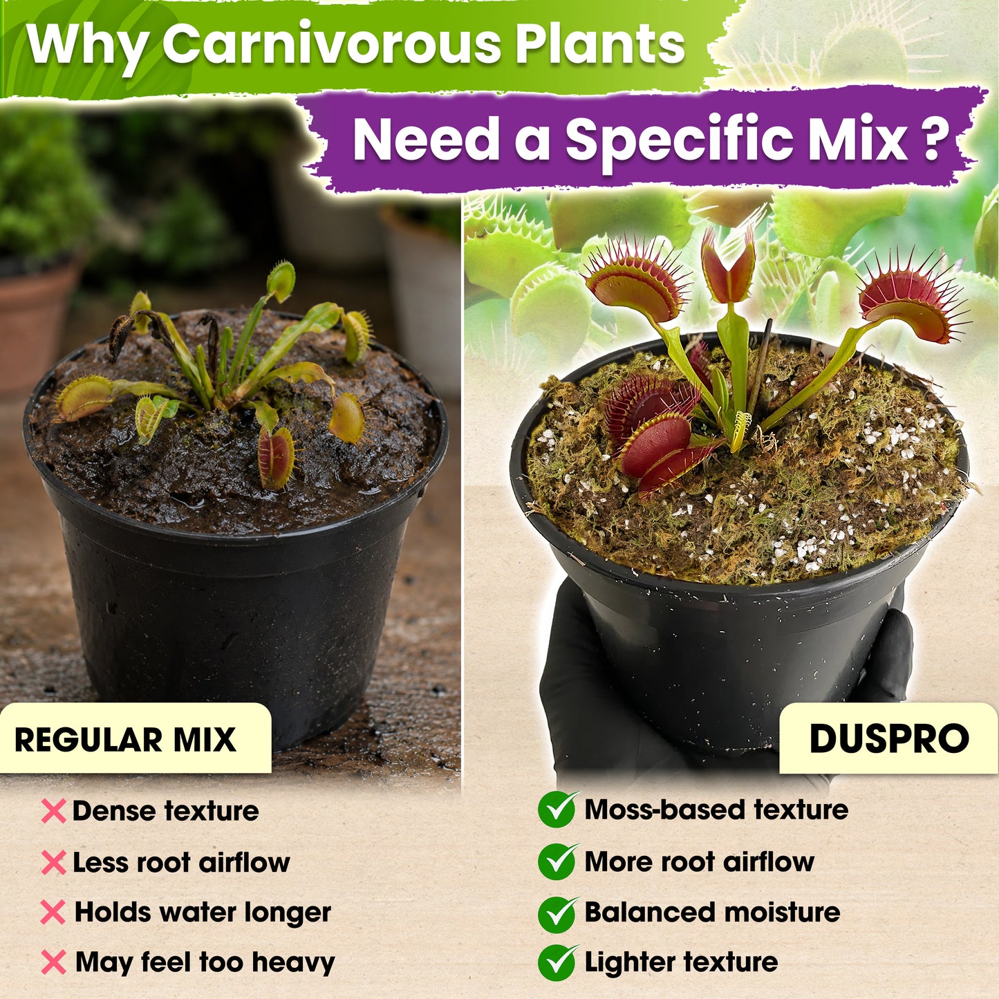 Carnivorous Plant Soil Mix - Include Forest Moss, Peat Moss, Perlite Potting Mix for Carnivorous Plants, Pitcher Plant, Butterworts, Sundews - Carnivorous Plant Food