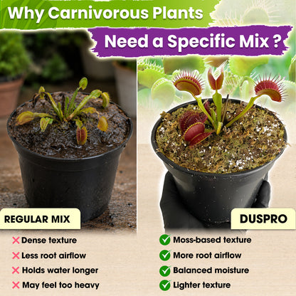 Carnivorous Plant Soil Mix - Include Forest Moss, Peat Moss, Perlite Potting Mix for Carnivorous Plants, Pitcher Plant, Butterworts, Sundews - Carnivorous Plant Food