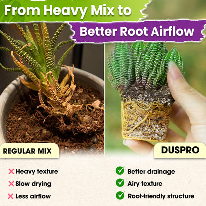 DUSPRO Succulents Soil Potting Mix – 7 in 1 Ingredients Well-Draining, Nutrient-Rich Cactus Potting Soil for Succulents and Cacti, Indoor & Outdoor Use, Ready to Use, Supports Healthy Root Growth, 1QT