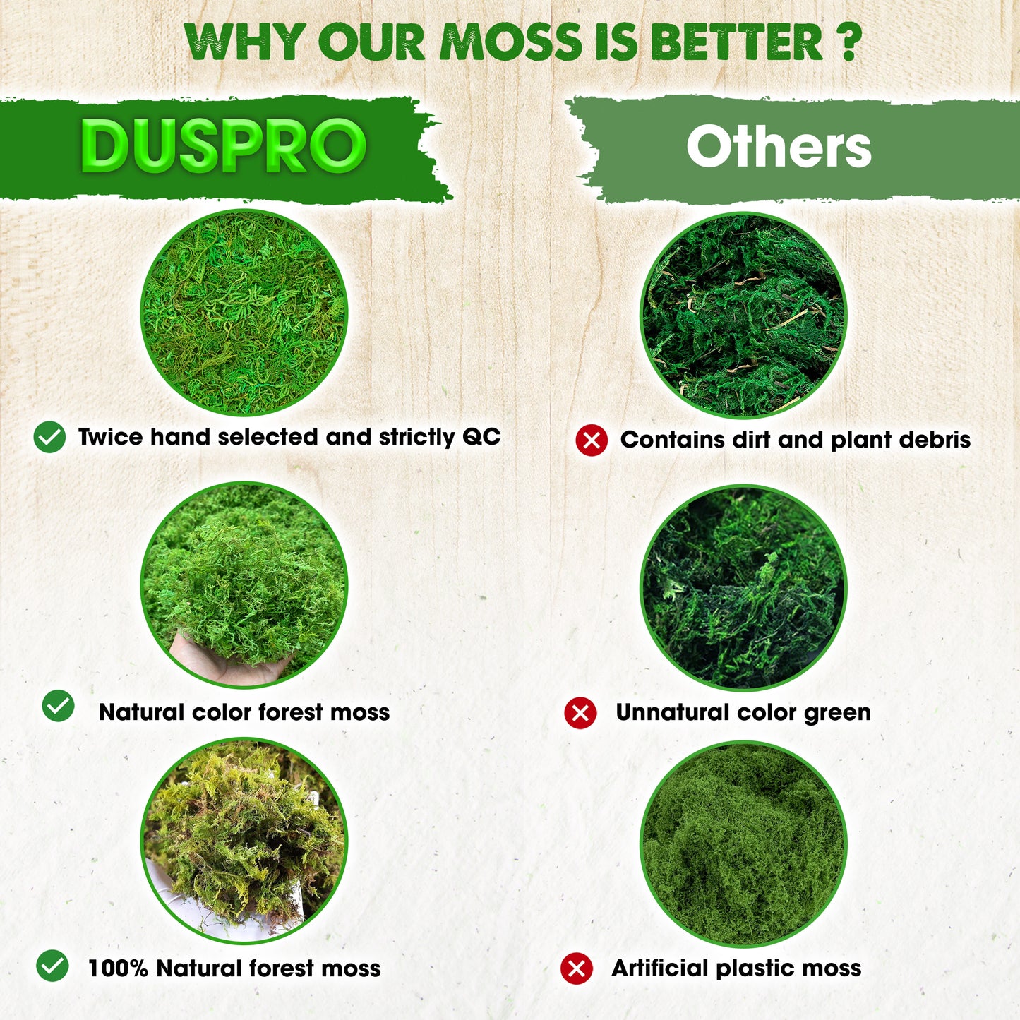 DUSPRO Green Forest Moss for Crafts, Real Dried Decorative Moss for Indoor Planter Soil Cover, Table Centerpieces, Wedding, Easter & Christmas Decor, DIY Projects