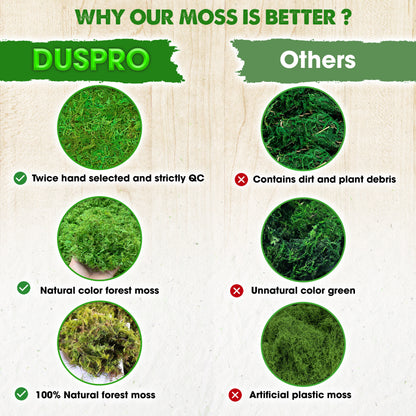DUSPRO Green Forest Moss for Crafts, Real Dried Decorative Moss for Indoor Planter Soil Cover, Table Centerpieces, Wedding, Easter & Christmas Decor, DIY Projects
