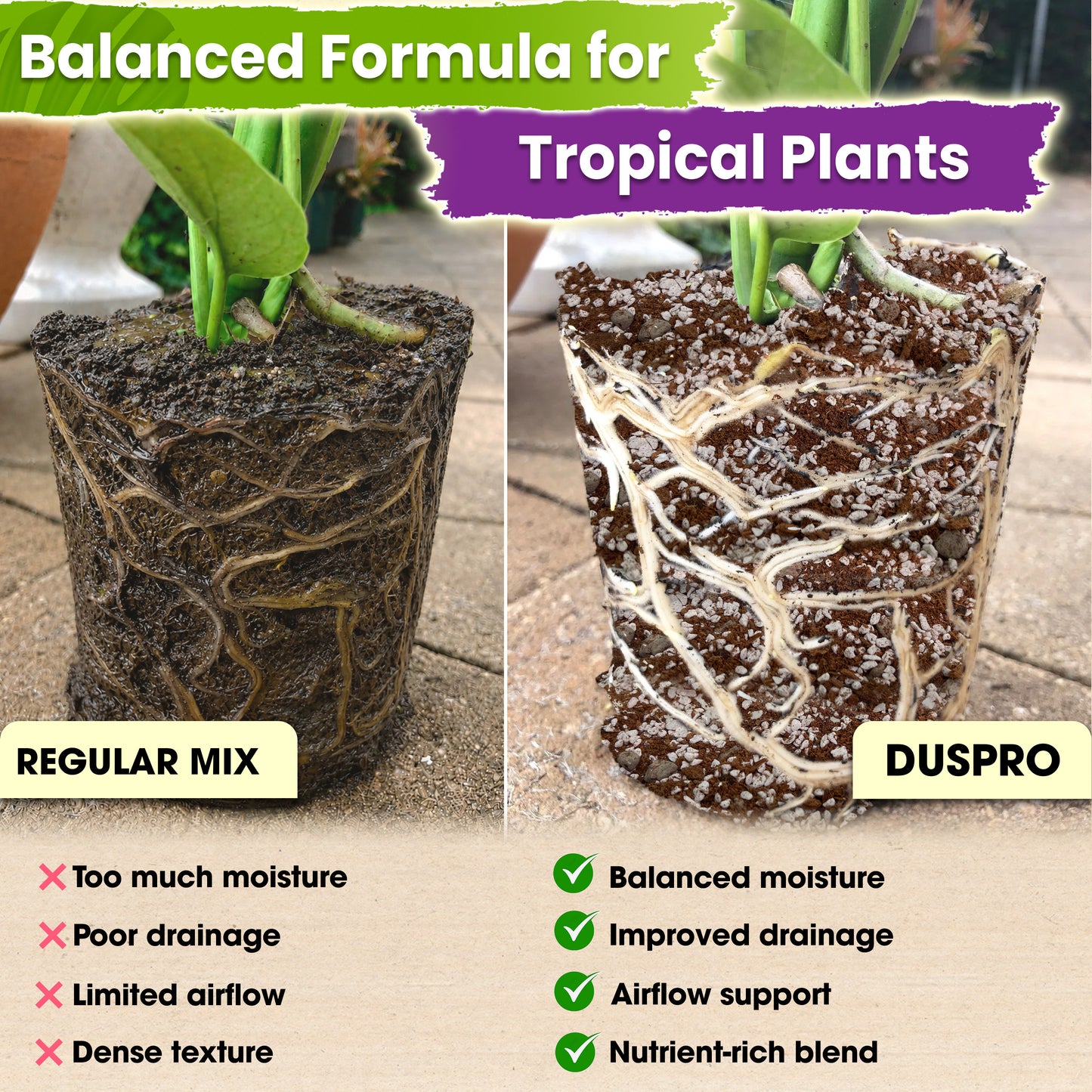 DUSPRO Recycle Tropical Potting Mix Pre-Mixed 5in1 with Pine Bark, Coco Coir, Perlite, Worm Casting & Pumice Ideal Aroid Mix Soil for Monstera, Pothos, Philodendron, Other Indoor HousePlants