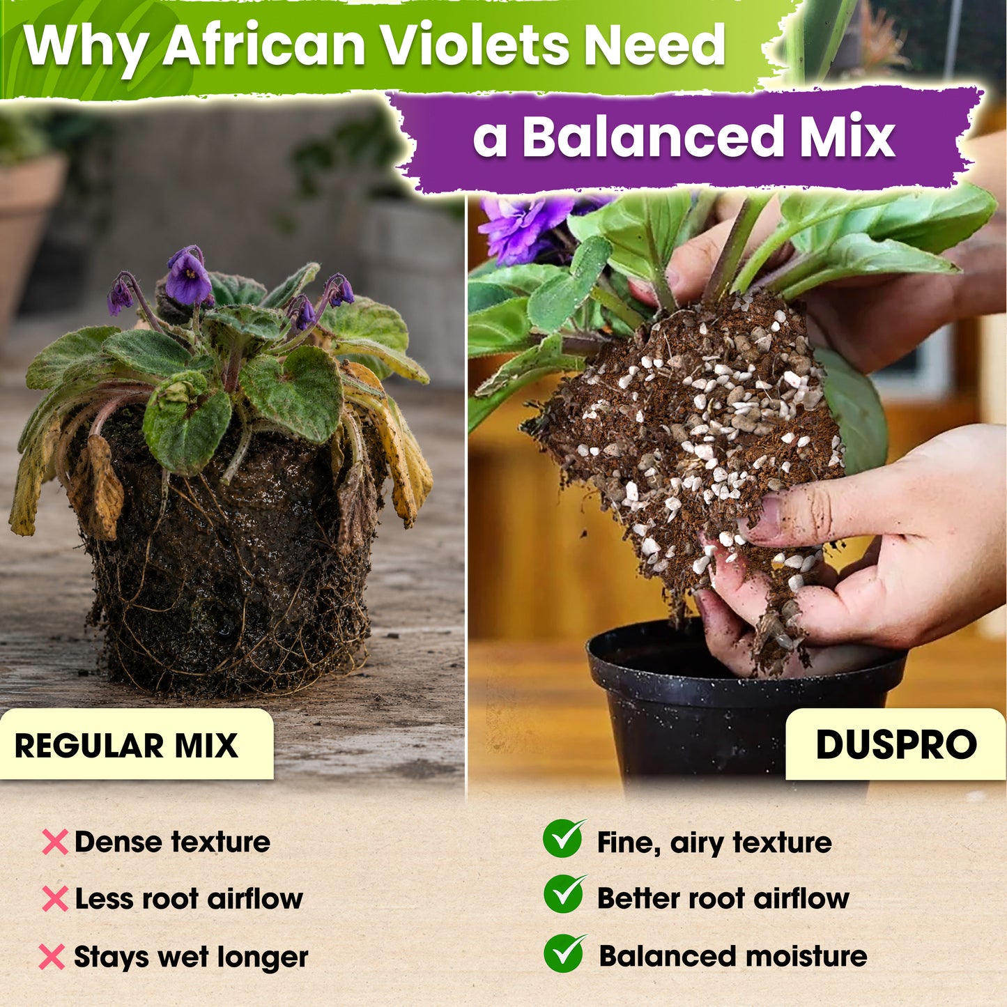 DUSPRO Recycle Premium 4-in-1 African Violet Potting Soil African Violet Soil Blend with Perlite, Coco Peat, Pumice, Pine Bark for Optimal Moisture Retention & Drainage 1QT