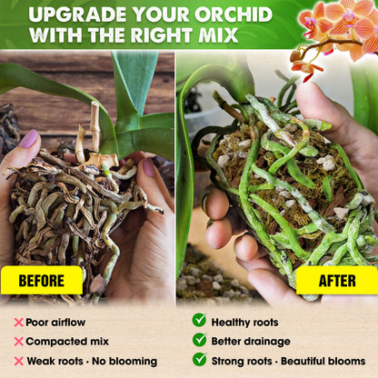[Upgraded] DUSPRO Orchid Potting Mix for Repotting with Forest Moss, Pine Bark, Perlite & Pumice, Orchid Bark Potting Mix, Orchid Repotting Soil, Drainage Indoor Potting, Orchid Pot Not Included