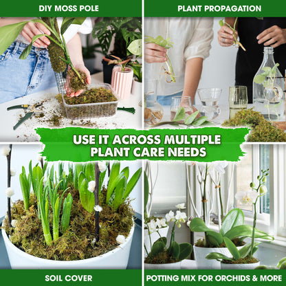 DUSPRO Dried Moss for Potted Plants, Forest Orchid Moss for Potting Mix, Sphagnum Potting Moss for Plants Indoor, Real Moss Soil Cover for Houseplant
