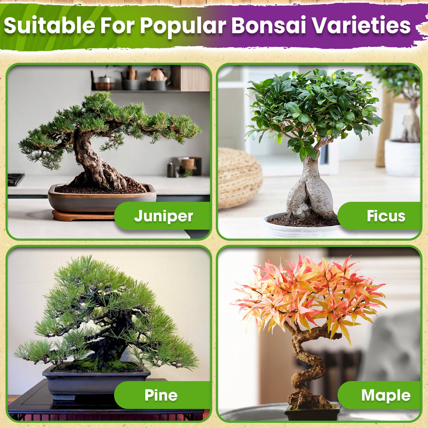 DUSPRO Recycle Premium Bonsai Soil Mix Ready to Use Pre-Mixed 5in1 with Akadama, Pumice, Vermiculite, and Peat Moss