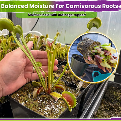 Carnivorous Plant Soil Mix - Include Forest Moss, Peat Moss, Perlite Potting Mix for Carnivorous Plants, Pitcher Plant, Butterworts, Sundews - Carnivorous Plant Food