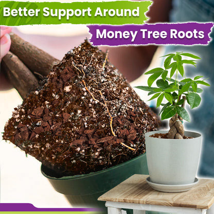 DUSPRO Recycle Money Tree Soil, Premium Coco Coir Perlite Mix and Pine Bark for Money Tree Soil