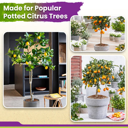DUSPRO Recycle Citrus Tree Potting Soil Mix for Potted Lemon Tree, Specialized for Oranges, Fruit Tree Indoor Planting Pre-Mixed 4-in-1 Ready to Use