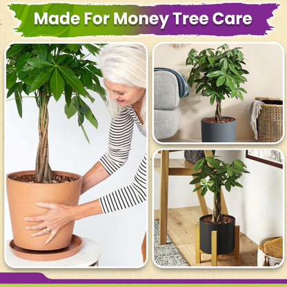 DUSPRO Recycle Money Tree Soil, Premium Coco Coir Perlite Mix and Pine Bark for Money Tree Soil
