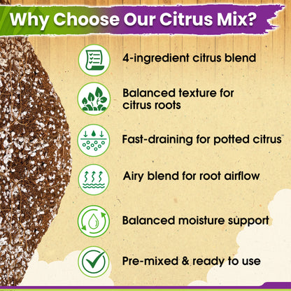 DUSPRO Recycle Citrus Tree Potting Soil Mix for Potted Lemon Tree, Specialized for Oranges, Fruit Tree Indoor Planting Pre-Mixed 4-in-1 Ready to Use