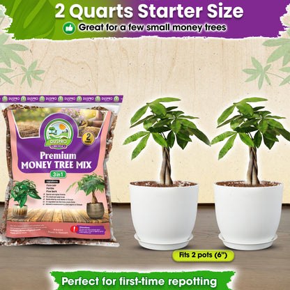 DUSPRO Recycle Money Tree Soil, Premium Coco Coir Perlite Mix and Pine Bark for Money Tree Soil