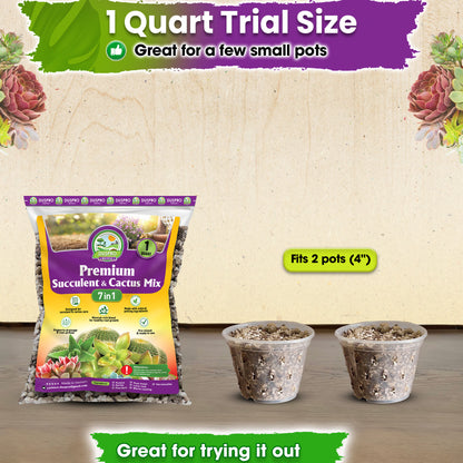 DUSPRO Succulents Soil Potting Mix – 7 in 1 Ingredients Well-Draining, Nutrient-Rich Cactus Potting Soil for Succulents and Cacti, Indoor & Outdoor Use, Ready to Use, Supports Healthy Root Growth, 1QT