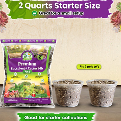 DUSPRO Succulents Soil Potting Mix – 7 in 1 Ingredients Well-Draining, Nutrient-Rich Cactus Potting Soil for Succulents and Cacti, Indoor & Outdoor Use, Ready to Use, Supports Healthy Root Growth, 1QT