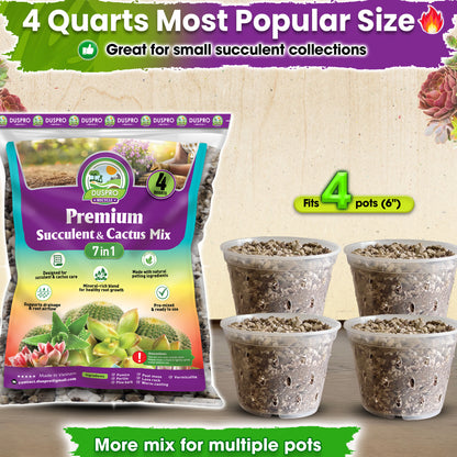 DUSPRO Succulents Soil Potting Mix – 7 in 1 Ingredients Well-Draining, Nutrient-Rich Cactus Potting Soil for Succulents and Cacti, Indoor & Outdoor Use, Ready to Use, Supports Healthy Root Growth, 1QT