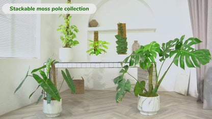 DUSPRO 2Pack 22" Stackable Mesh Moss Pole for Plants Climbing Vine Supporting Monstera Trellis