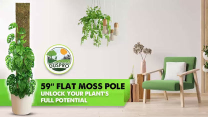 DUSPRO 59’’ Flat Mesh Moss Poles for Climbing Plants Monstera Flat Stacks for Tall Plant with Real Moss (1pc., 59'')