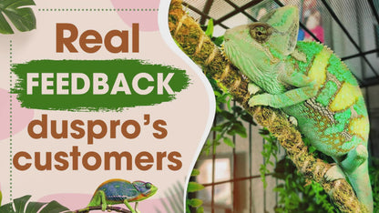 Duspro 10FT Reptile Vines for Climbing Bendable Branch for Reptile Natural Moss Rope Jungle Decor for Bearded Dragon, Chameleon Tank Accessories, Snake Gecko Lizard Terrarium