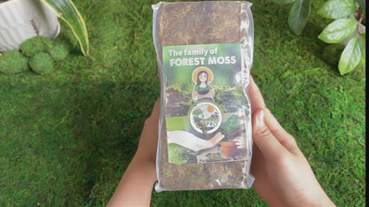 DUSPRO Dried Moss for Potted Plants, Forest Orchid Moss for Potting Mix, Sphagnum Potting Moss for Plants Indoor, Real Moss Soil Cover for Houseplant