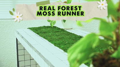 DUSPRO Moss Roll, Moss Table Runner, Moss Carpet for Moss Wall, Sheet Moss for Fairy Moss Garden, Mossy Mat Peel and Stick Moss Sheet