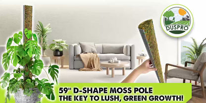 DUSPRO 59’’ D-Shape Moss Pole for Climbing Plants Monstera Moss Plant Pole Handmade Moss Stick for Indoor (59'', 1pc.)