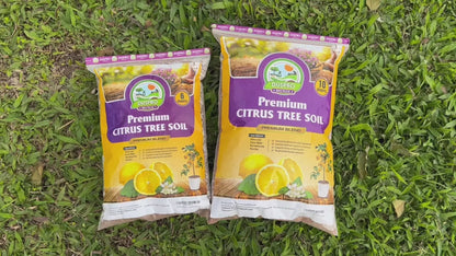 DUSPRO Recycle Citrus Tree Potting Soil Mix for Potted Lemon Tree, Specialized for Oranges, Fruit Tree Indoor Planting Pre-Mixed 4-in-1 Ready to Use