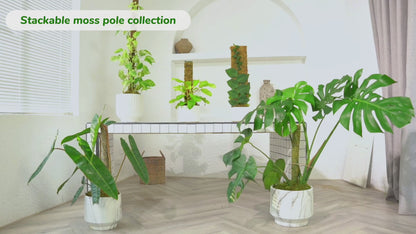 DUSPRO 2Pack 22" Stackable Mesh Moss Pole for Plants Climbing Vine Supporting Monstera Trellis