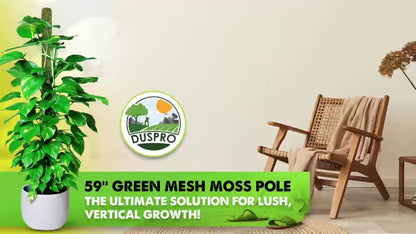 DUSPRO 59’’ Large Green Mesh Moss Pole Monstera Plant Support, Tall Plant Stakes, Moss Pole for Plants Monstera (1pc., 59'')