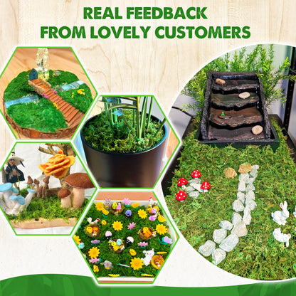 DUSPRO Green Forest Moss for Crafts, Real Dried Decorative Moss for Indoor Planter Soil Cover, Table Centerpieces, Wedding, Easter & Christmas Decor, DIY Projects