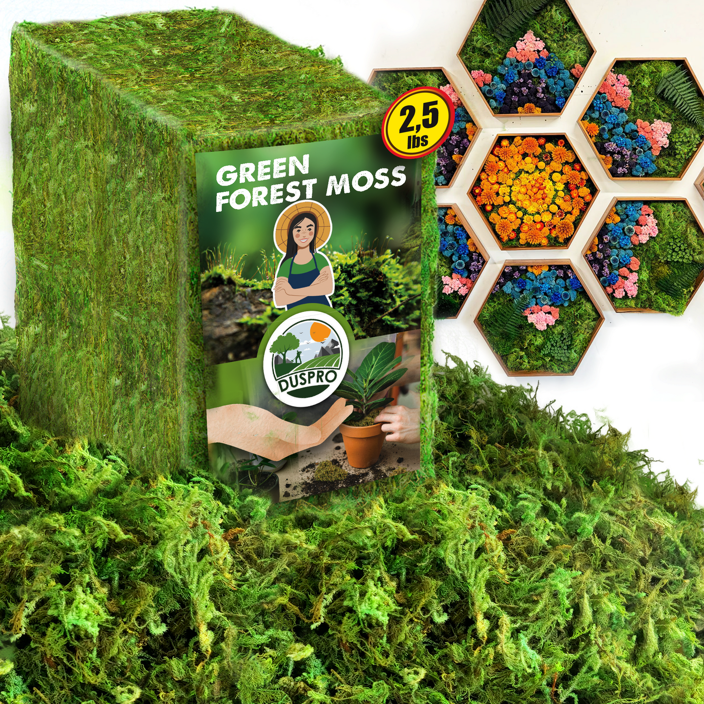 DUSPRO Green Forest Moss for Crafts, Real Dried Decorative Moss for Indoor Planter Soil Cover, Table Centerpieces, Wedding, Easter & Christmas Decor, DIY Projects
