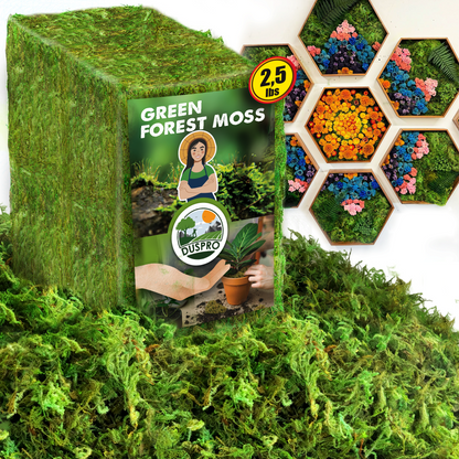 DUSPRO Green Forest Moss for Crafts, Real Dried Decorative Moss for Indoor Planter Soil Cover, Table Centerpieces, Wedding, Easter & Christmas Decor, DIY Projects