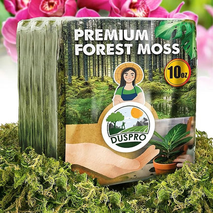 Duspro 5oz Hamster Bedding, Natural Forest Moss Bedding for Hamster, Hamster Bedding Odor Control