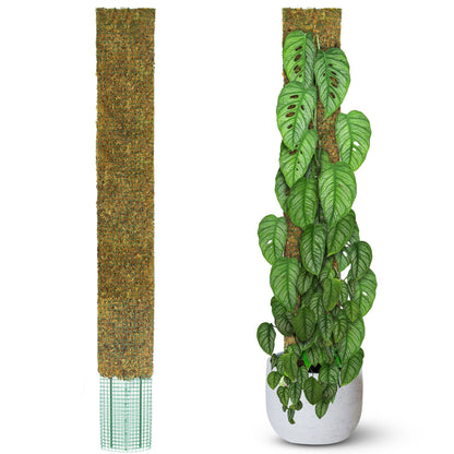 DUSPRO 59’’ Flat Mesh Moss Poles for Climbing Plants Monstera Flat Stacks for Tall Plant with Real Moss (1pc., 59'')